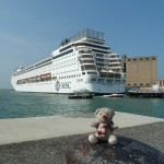Pauli und die MSC