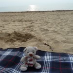 Pauli am Meer