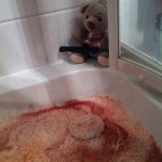 Pauli im Horrorfieber 1