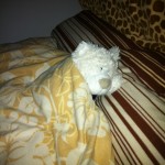 Nic krank im Bett