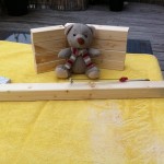 pauli sägt (3)