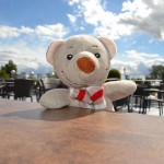 Pauli auf der Kristallkönigin auf der Donau (5)
