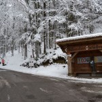 Pauli auf der Burgruine Falkenstein (2)