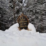 Pauli auf der Burgruine Falkenstein (89)