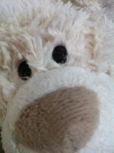 Nic will Schnee