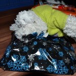 Nics Geschenk (3)