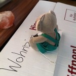 Pauli packt Kartons (1)