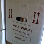 Pauli packt Kartons (6)