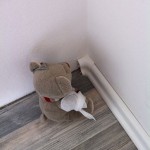 Pauli und Nic machen Bodenleisten (4)
