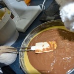 Ted und Nic backen Paulis Krümelmonster Kuchen (10)