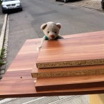 Pauli hilft beim Umzug (9)