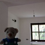 Pauli streicht die Küche (4)