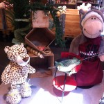 Pauli im Nici Outlet Store (5)