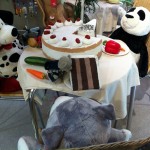 Pauli im Nici Outlet Store (6)