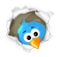 Paulis Twitter