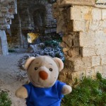 Mt. Grosso Fortress (9)