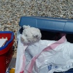 Nic am Strand