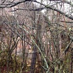 Schäferhaus Geigerhaid (3)