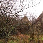 Schäferhaus Geigerhaid (4)