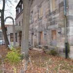 Schwarzer Adler (13)