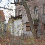 Schwarzer Adler (15)