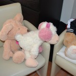 Making of Pauli & Friends (6)