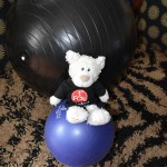 Nic's Gymnastikball