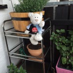 Paulis Kräuterbalkon (3)