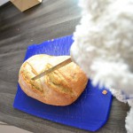 Nic macht Käsebrot (6)