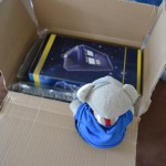Paulis Tardis (1)
