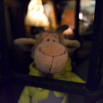Museum of Torture - Prag (9)