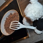 Nic's Hamburger Salat (3)