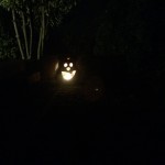 Pauli's Halloween Deko (1)