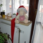 Pauli's Weihnachtsdeko (6)