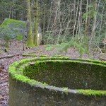 Hexenhäuschen (1)