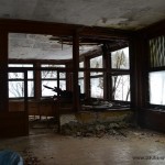Pauli im Hotel Geiger (1)