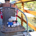 pauli-im-nationalpark-kornati-1